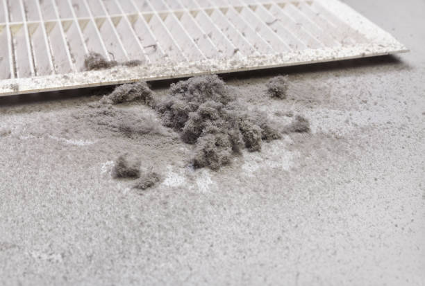 Best Air Duct Cleaning Company Near Me  in Adairsville, GA